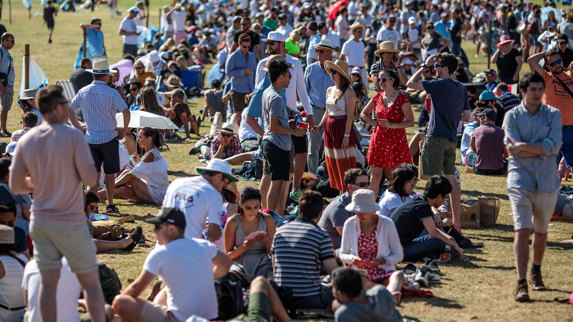 在国际象棋 在国际象棋